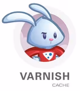 Varnish Cache